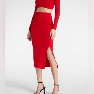New with tag express skirt